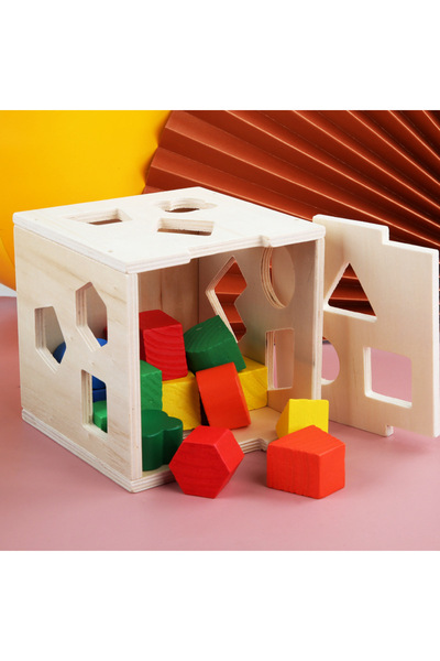 Choice Multicolor Montessori 15 Hole Intelligence Box Geometric Shapes 3D Puz...