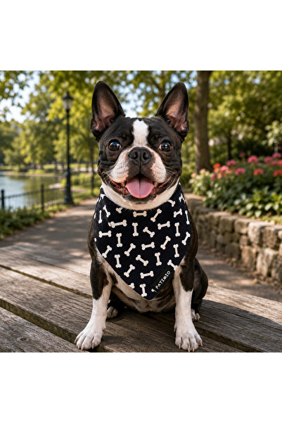 PATİMİO Bones Cat And Dog Leash Scarf Bandana