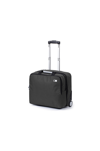 Lexon Troler de cabină Airline 48h 17,3 x 11,8 x 8,7” gri închis