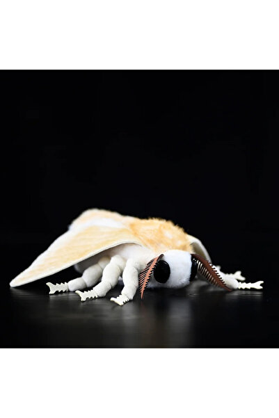Choice Silkworm Moth 27cm Soft Silkworm Moth Plush Toy Cute Simulated Insect ...