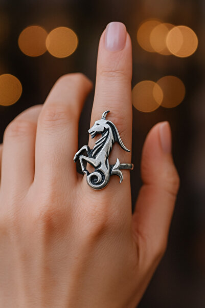 HER ŞEY NOTA www.herseynota.com Unisex Adjustable Metal Ring with Aries Zodia...
