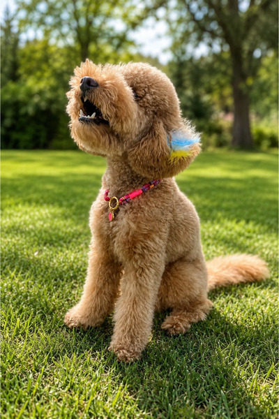 JesPawty Pembe Ip Halat Kedi Köpek Kolyesi Charm Uçlu