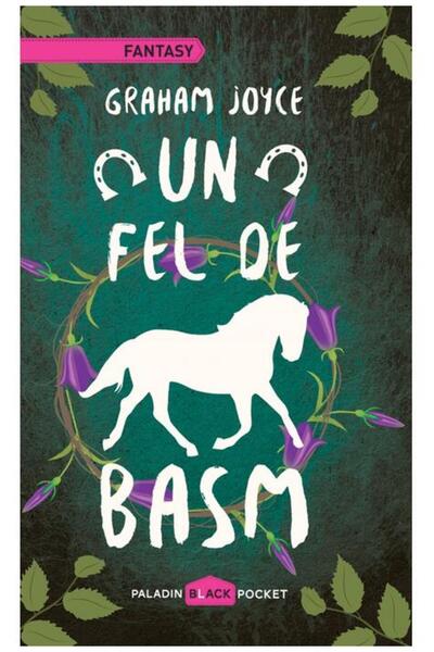 Editura Paladin Un fel de basm