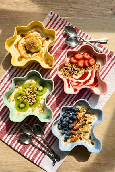 Empressco Pastel Yıldız Serisi 4'lü Granola ve Smoothie Kasesi Seti, şık kahv...