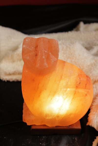 TUZCU KENAN Himalaya Cat Model Salt Lamp with Wooden Base Decorative Ambient Lamp