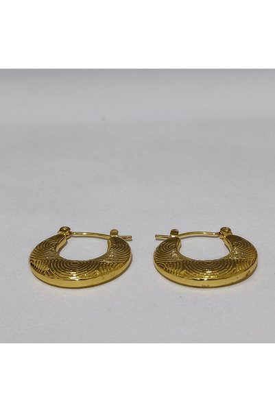 Zennemor Stainless Steel Antiallergic Gold Color Earrings, Suitable for Daily Use and Combinations