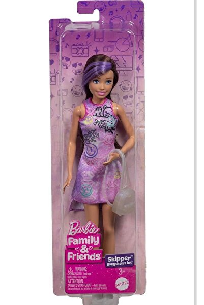 Barbie Family & Friends Skipper Babysitters Inc.