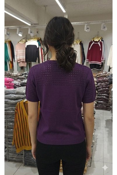 ALCHON Round Neck Short Sleeve Openwork Perforated Plain Basic Summer Spring Knitwear Blouse