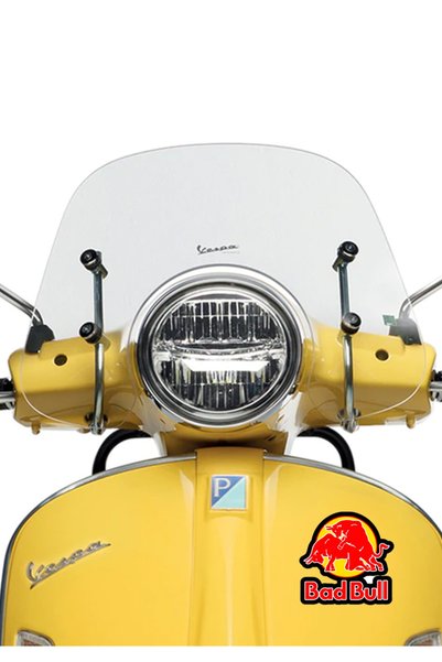 MegaSticker Bad Bull Sticker Car, Motorcycle, Helmet, Laptop, Glass Sticker 13X13 cm