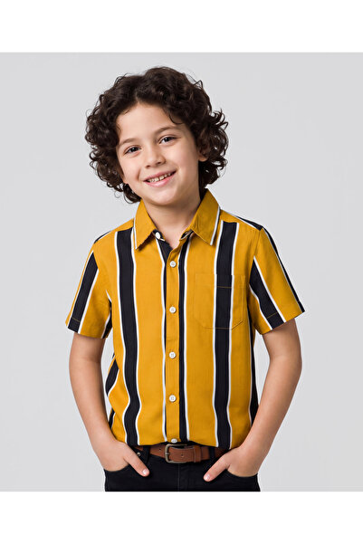 Pine kids Cotton Woven Half Sleeves Shirt with Stripes - Multicolour