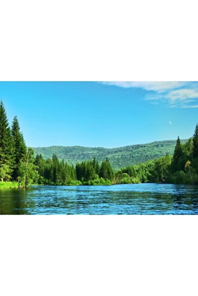 Zumzeria Tablou Canvas Panoramă cu Reflecția Pădurii în Apa Limpede a Râului,...