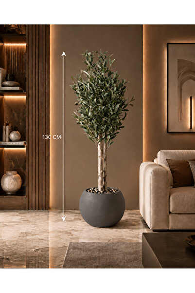 Rafef An olive tree with two branches, 130 cm long, in a round pot