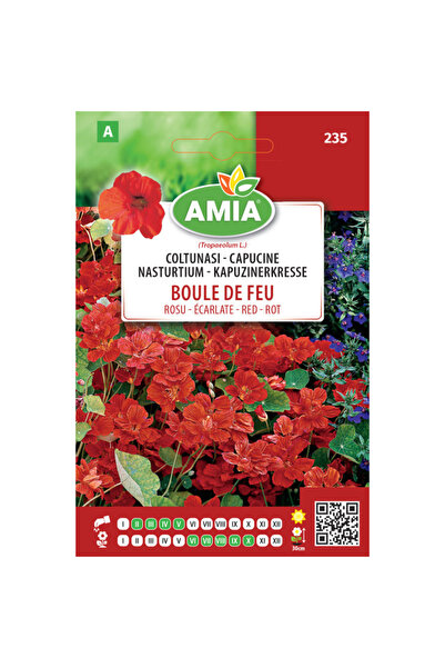 Amia Seminte de flori coltunasi Boule de feu rosu 1,5 g