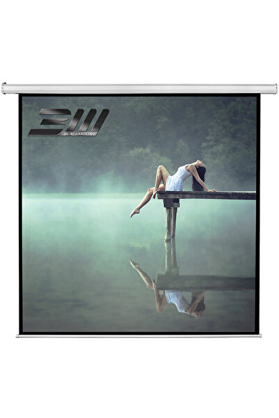 blackmount Electric Wall/Ceiling Projection Screen, visible size 240 cm X 240...