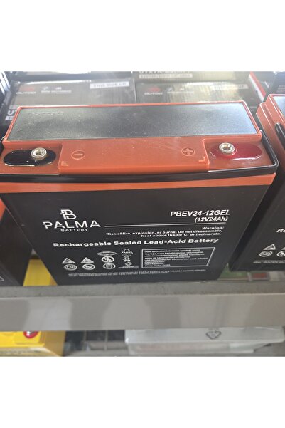 PALMA 12v24ah Pbev24-12Gel