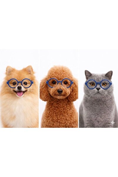 PetiliDünya Pet Glasses Cat Dog Clothing Accessory