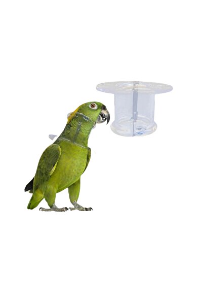 Seven Bird طوق للطيور والببغاءات لحمايتها من نتف الريش من سيفن بيرد مقاس Large