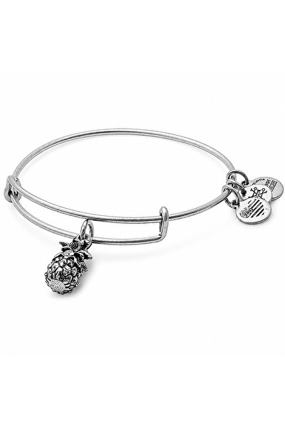 Alex and Ani Bratara Metal A17EB26RS