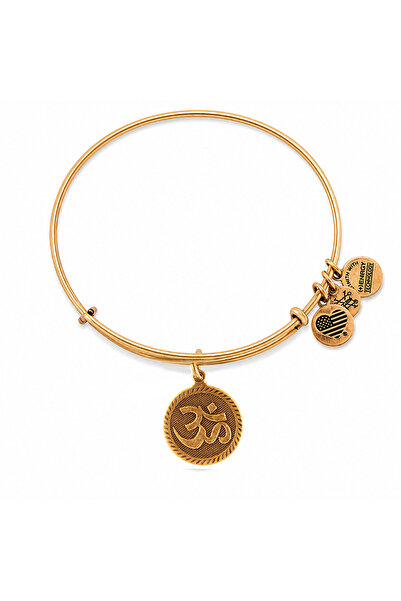Alex and Ani Bratara Metal A09EB210RG