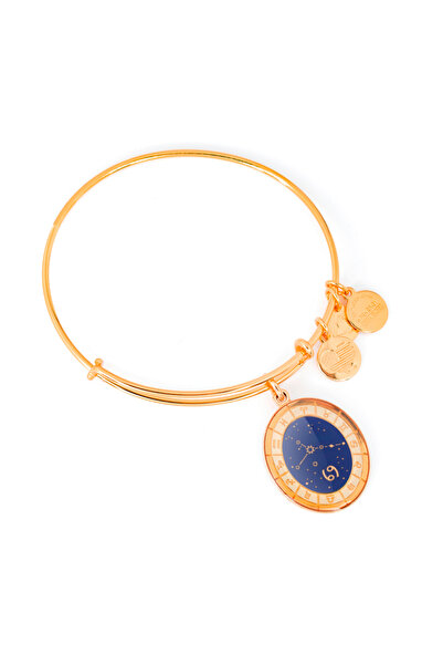 Alex and Ani Bratara Metal A15EB60YG