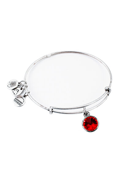 Alex and Ani Bratara Metal A12EB246RS