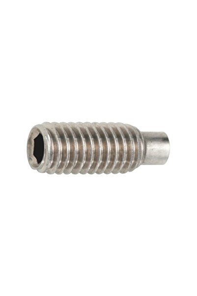 SCHAEFER Set 20 x Stift Filetat Locas Inbus Cep 915 Inox A2 -M12 x 20