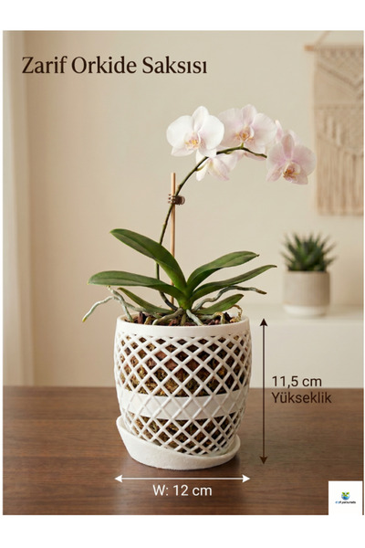 DipFiyatBurada Zarif Dekoratif Orkide Saksısı - 12 cm Beyaz Izgara Tasarım - ...