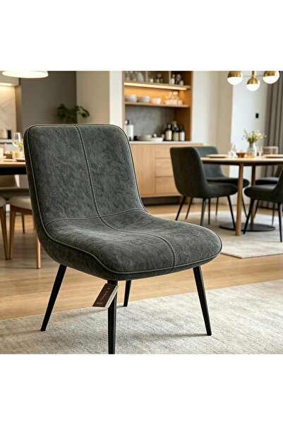 Bleco Two-Tone Matte Fabric Casual Dining Chair