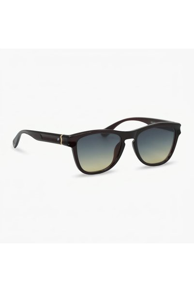 Mootlu Classic Brown Sunglasses Mod685-C404