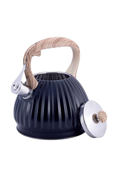 Kamille KM-1076 3L Stainless Steel Kettle with Whistle, Induction Compatible