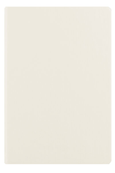 Ego UNDATED A5 WHITE AGENDA