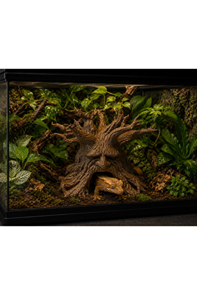 ecraft3D Ağaçsakal Sürüngen Mağarası