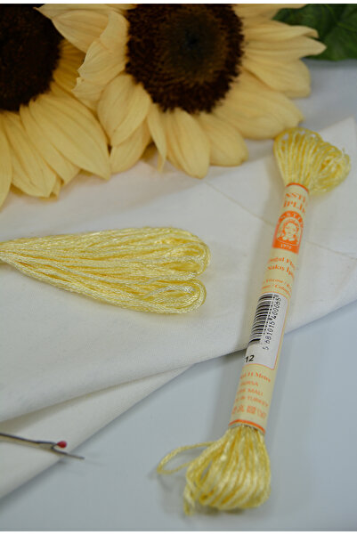 Enstitü İplik Hand Embroidery Silk, Laundry Silk, Rayon, Shiny Silk Texture, ...