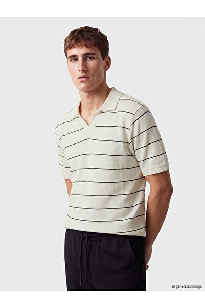 LC Waikiki Polo Neck Striped Men's T-Shirt