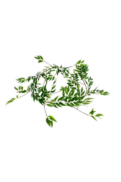 OEM Ghirlanda Artificiala Frunze Maslin Verde