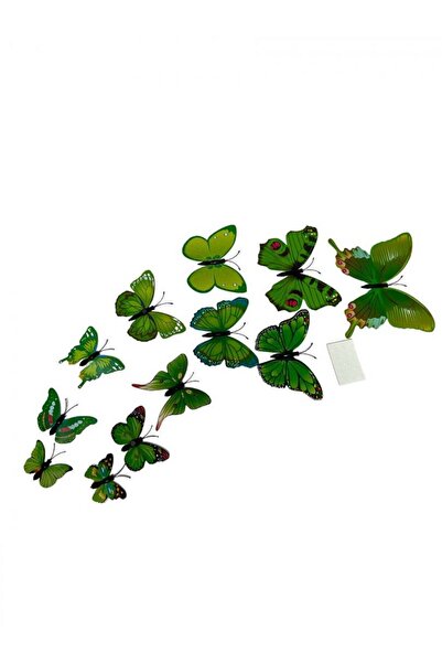 OEM Fluturi Plastic Magnet 12/Set Verde