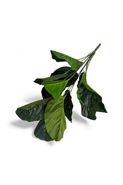 OEM Buchet Frunze Exotice Verde Cu Striatii Maro