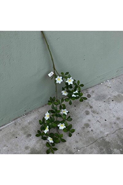 OEM Creanga Exotica Flori Ceara
