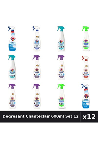 Chanteclair Set 12 Degresant Universal 600ml - 6 Arome Asortate Curatenie Casa