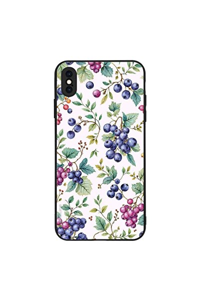 Sonique Θήκη Fruit Series για Apple iPhone XS MAX Μύρτιλο