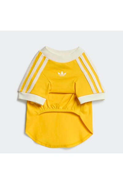 adidas Originals Yellow Pet Cali T-Shirt (Ky8731)