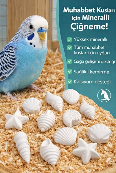 ozzipetshop Muhabbet Kuşu Gaga Taşı 16 Adet Deniz Kabuklu Kalsiyum Mineral Ke...