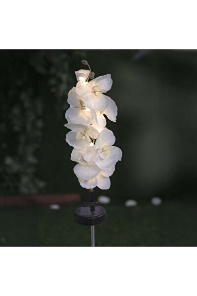 OEM Lampă solară LED pentru grădină, albă, 70cm, stick exterior, fără cablu, ...