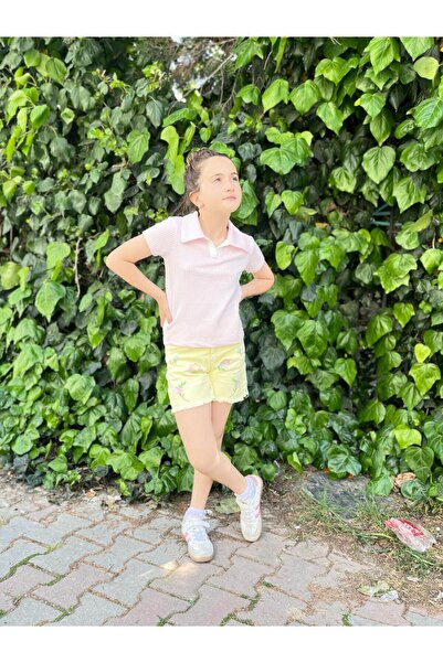 Bebeu Girl's Pink Polo Collar Blouse Embroidered Shorts Set