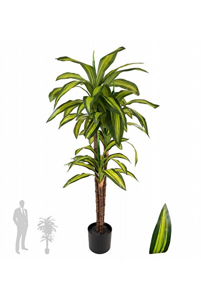 Roberto Rossi Dracaena artificiala cintho cu 54 frunze H120cm