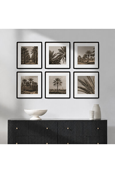 lawhat Elegant Artistic Set of Six Photographs Inspired by the Beauty of Arab...