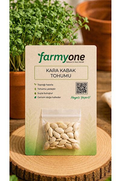 farmyone Yerli 50 Adet Kara Uzun Kabak Tohumu (Cucurbita Pepo)