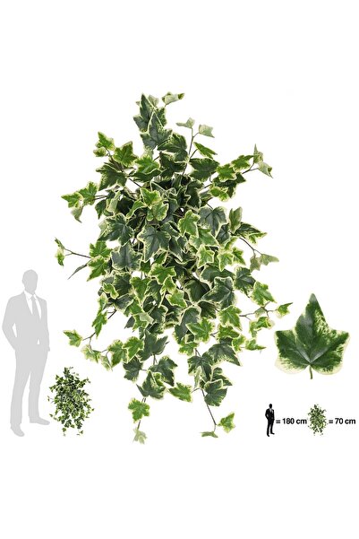 Roberto Rossi Iedera artificiala H70cm cu 202 frunze verde cu alb