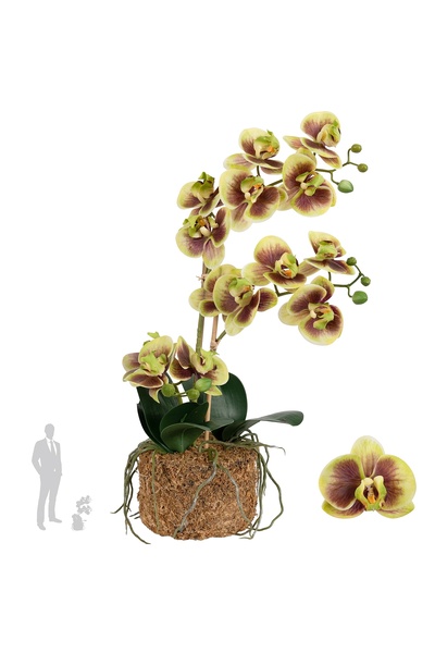 Roberto Rossi Orhidee artificiala verde cu grena cu aspect H54 cm cu 3 tulpini