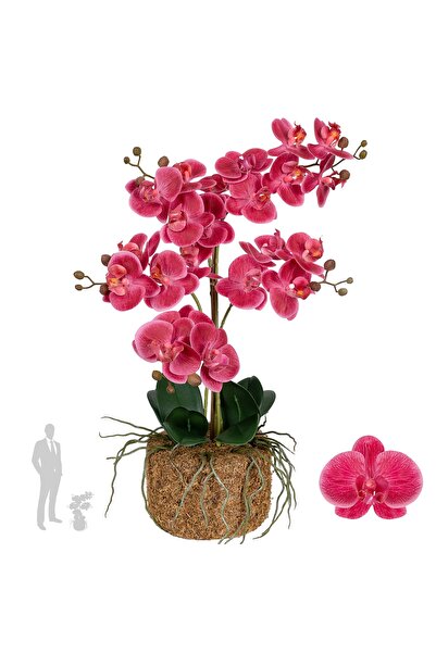 Roberto Rossi Orhidee artificiala roz-magenta cu aspect H59 cm cu 5 tulpini